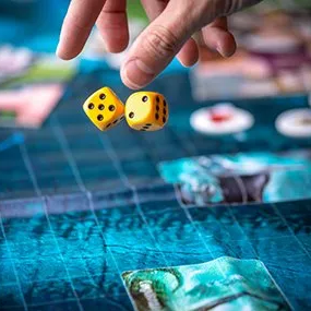 Expert