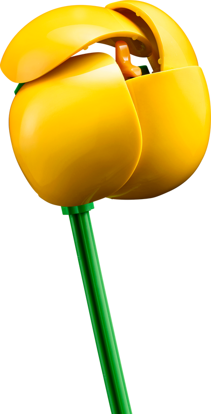 LEGO Small Summer Bouquet 10347 Botanical