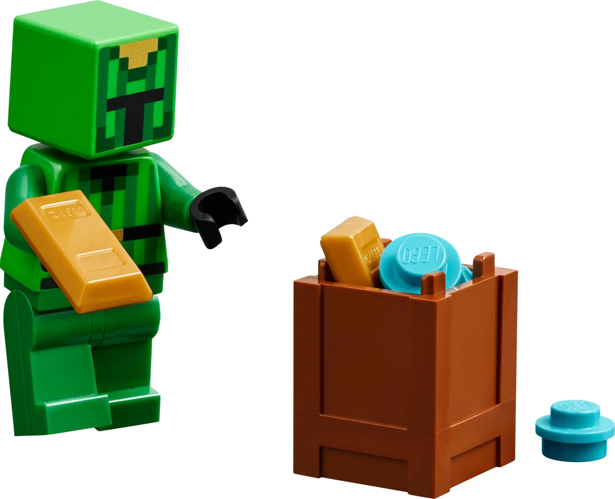 LEGO Visit the Illager Village 21267 Ninjago