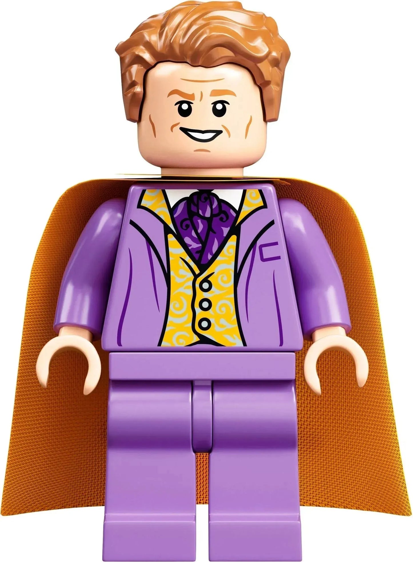 LEGO Gone Is Gone 75978 Harry Potter