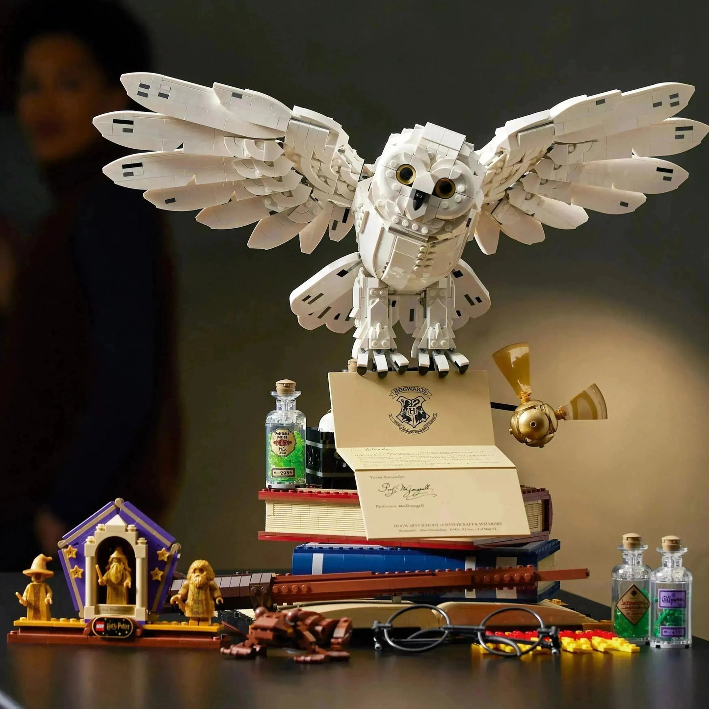 LEGO Hogwarts Icons - Collectors' Edition 76391 Harry Potter
