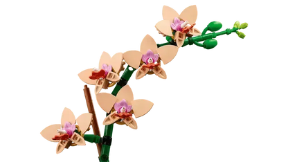 LEGO Mini Orchidee 10343 Botanische Sammlung